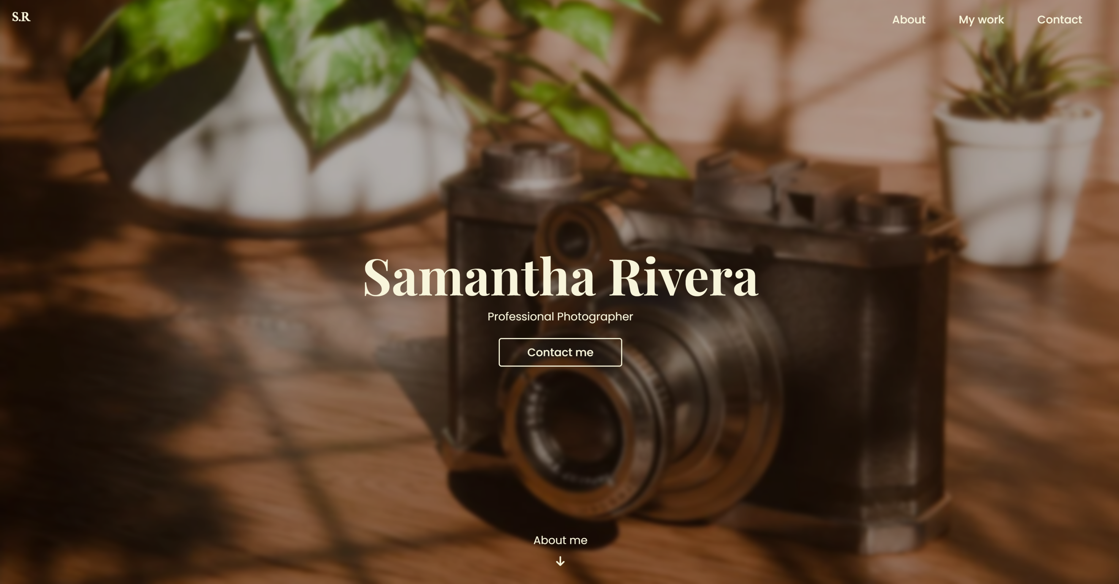 Travel Blog Template